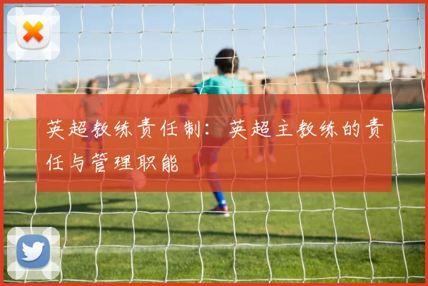 英超教练责任制：英超主教练的责任与管理职能