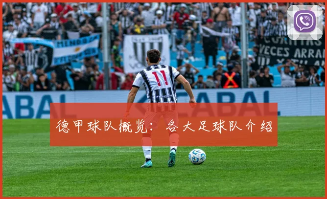 德甲球队概览：各大足球队介绍