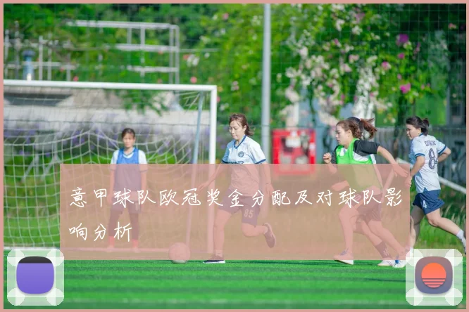意甲球队欧冠奖金分配及对球队影响分析