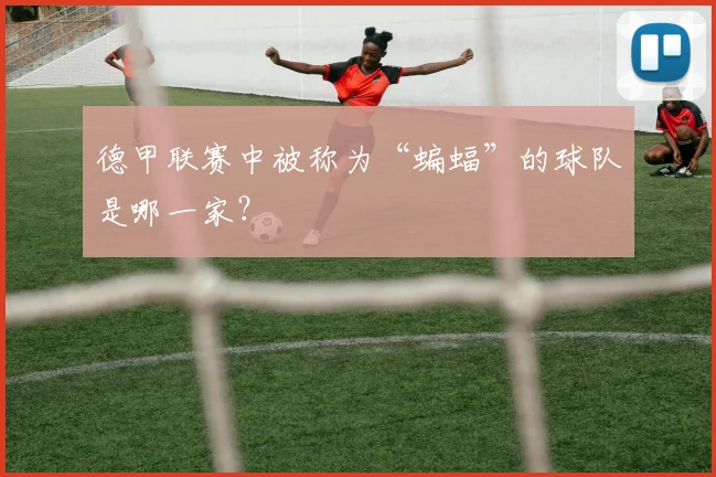 德甲联赛中被称为“蝙蝠”的球队是哪一家？